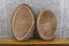 Thumbnail for 2- Live Edge Black Walnut Oval Cut Rustic Clock Plaque Slabs 6241-6242