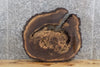 Thumbnail for Live Edge Black Walnut Round Cut Accent Table Top Slab 6414