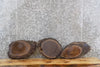 Thumbnail for 3- Live Edge Oval Cut Black Walnut Taxidermy Mount/Wall Art Slabs 14540-14542