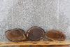 Thumbnail for 3- Live Edge Oval Cut Black Walnut Taxidermy Mount/Wall Art Slabs 14540-14542