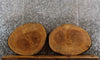 Thumbnail for 2- Live Edge Maple End Table Top/Coffee Table Tops 6445-6446