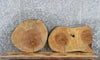 Thumbnail for 2- Live Edge Maple Coffee/End Table Tops 6447-6448