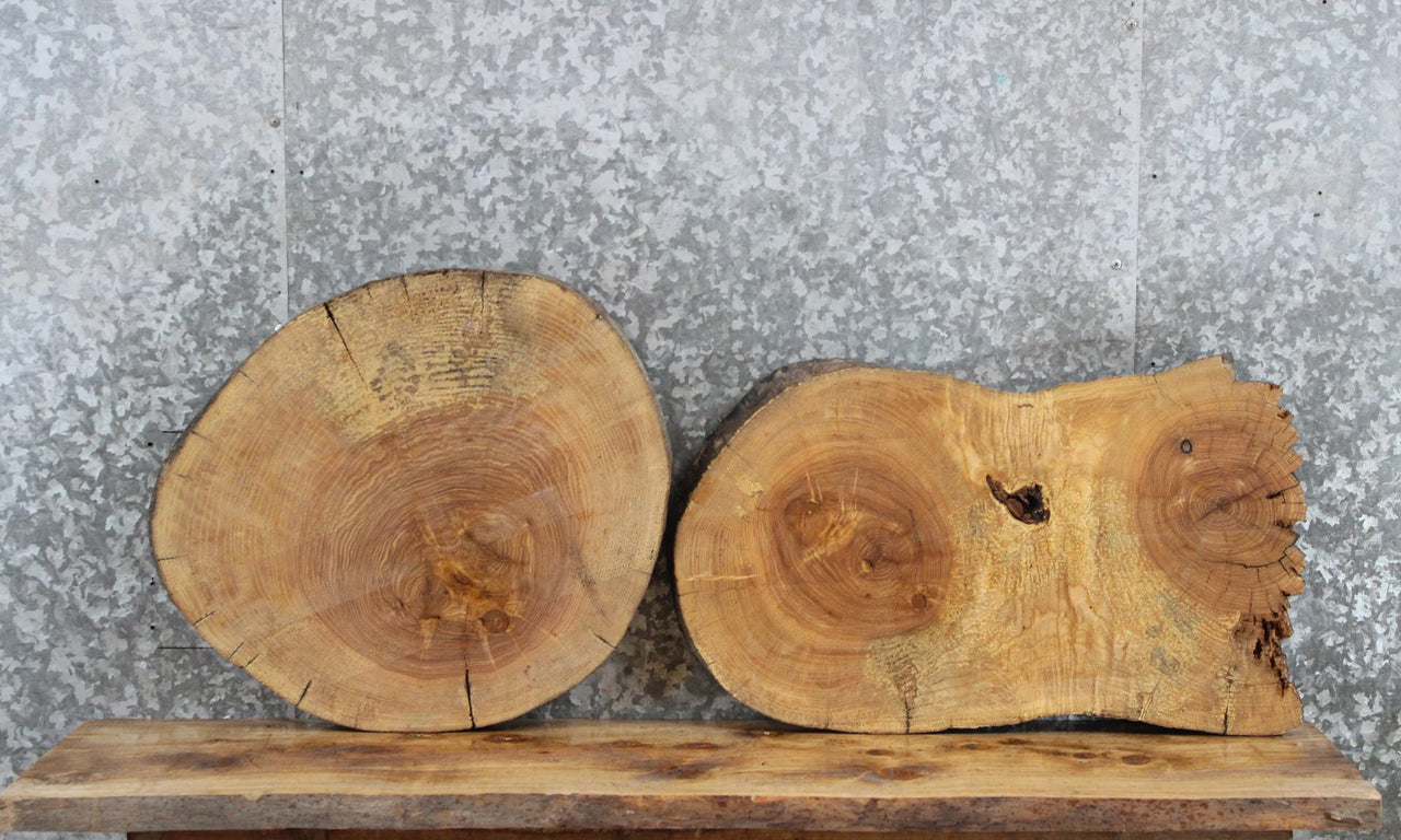 2- Live Edge Maple Coffee/End Table Tops 6447-6448