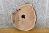 Thumbnail for Black Walnut Round Cut Live Edge Night Stand/Table Top Slab 6457