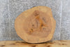 Thumbnail for Live Edge Round Cut Ash End/Accent/Coffee Table Top Slab 6462