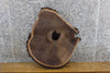 Thumbnail for Natural Edge Round Cut Black Walnut End/Side Table Top Slab 6502