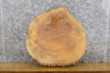 Thumbnail for Natural Edge Ash Round Cut Rustic DIY Charcuterie Board/Slab 6550