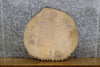 Thumbnail for Natural Edge Ash Round Cut Rustic DIY Charcuterie Board/Slab 6550