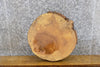 Thumbnail for Rustic Round Cut Live Edge Ash Wedding Cake Stand Base/Slab 6588