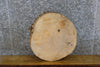 Thumbnail for Rustic Round Cut Live Edge Ash Wedding Cake Stand Base/Slab 6588