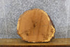 Thumbnail for Natural Edge Rustic Round Cut White Oak End Table Top Slab 6603