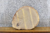 Thumbnail for Natural Edge Rustic Round Cut White Oak End Table Top Slab 6603