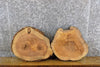 Thumbnail for 2- Natural Edge Round Cut Ash Epoxy Project/Craft Pack Slabs 6681-6682