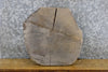 Thumbnail for Natural Edge Round Cut White Oak Display Stand Wood Slab 6717