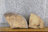 Thumbnail for 2- Round/Oval Cut Live Edge Ash Rustic Craft Pack Wood Slabs 6731-6732