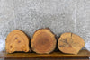 Thumbnail for 3- Round Cut Live Edge Ash Centerpiece Wood Slabs 6809-6811