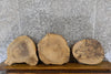 Thumbnail for 3- Round Cut Live Edge Ash Centerpiece Wood Slabs 6809-6811