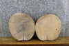 Thumbnail for 2- Salvaged Round Cut Live Edge Ash Display Stand Base Slabs 6829-6830