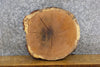 Thumbnail for Reclaimed Round Cut Live Edge White Oak Side Table Top Slab 6889