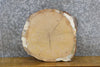 Thumbnail for Reclaimed Round Cut Live Edge White Oak Side Table Top Slab 6889