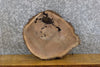 Thumbnail for Reclaimed Round Cut Live Edge Black Walnut Epoxy Project Slab 6943