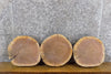 Thumbnail for 3- Natural Edge Black Walnut Round Cut Centerpiece Wood Slabs 6967-6969