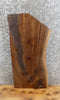 Thumbnail for Live Edge Black Walnut Charcuterie Board/Cutting Board Slab 7017