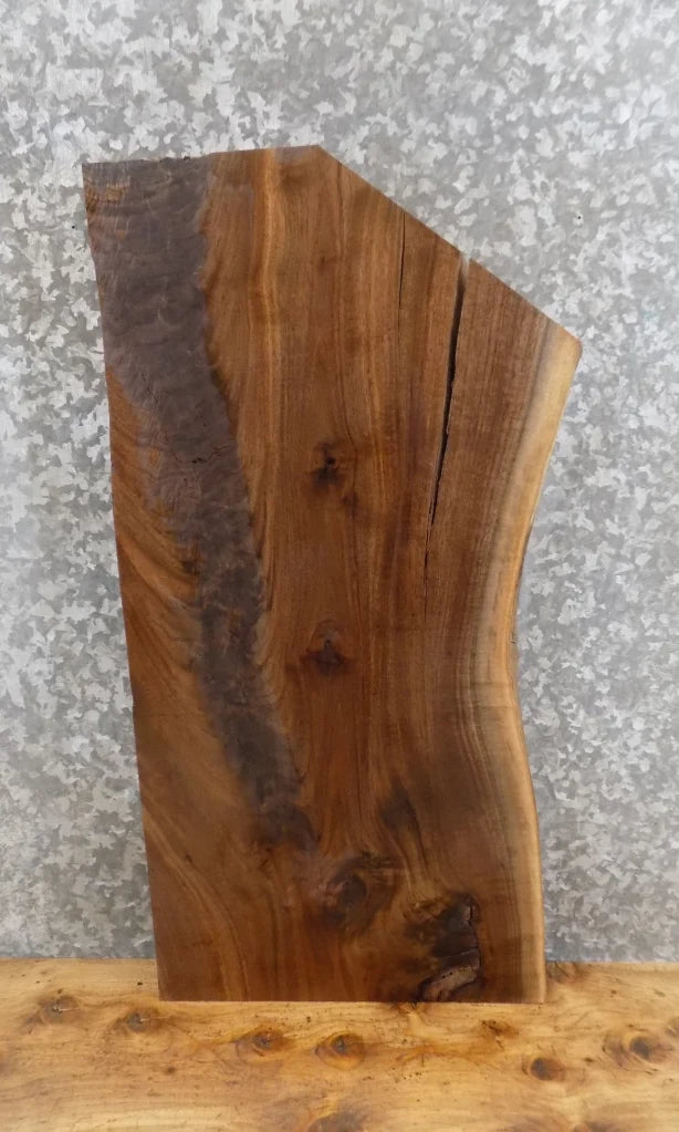 Live Edge Black Walnut Charcuterie Board/Cutting Board Slab 7017