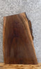 Thumbnail for Live Edge Black Walnut  End/Accent/Coffee Table Top Slab 7042