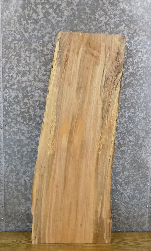 Salvaged Live Edge Spalted Maple Accent/Side Table Top Slab 7089