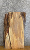 Thumbnail for Rustic Live Edge Spalted Maple Side/End Table Top Slab 7101