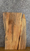 Thumbnail for Rustic Live Edge Spalted Maple Side/End Table Top Slab 7101