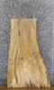 Thumbnail for Live Edge Spalted Maple Coffee Table Top Wood Slab CLOSEOUT 731