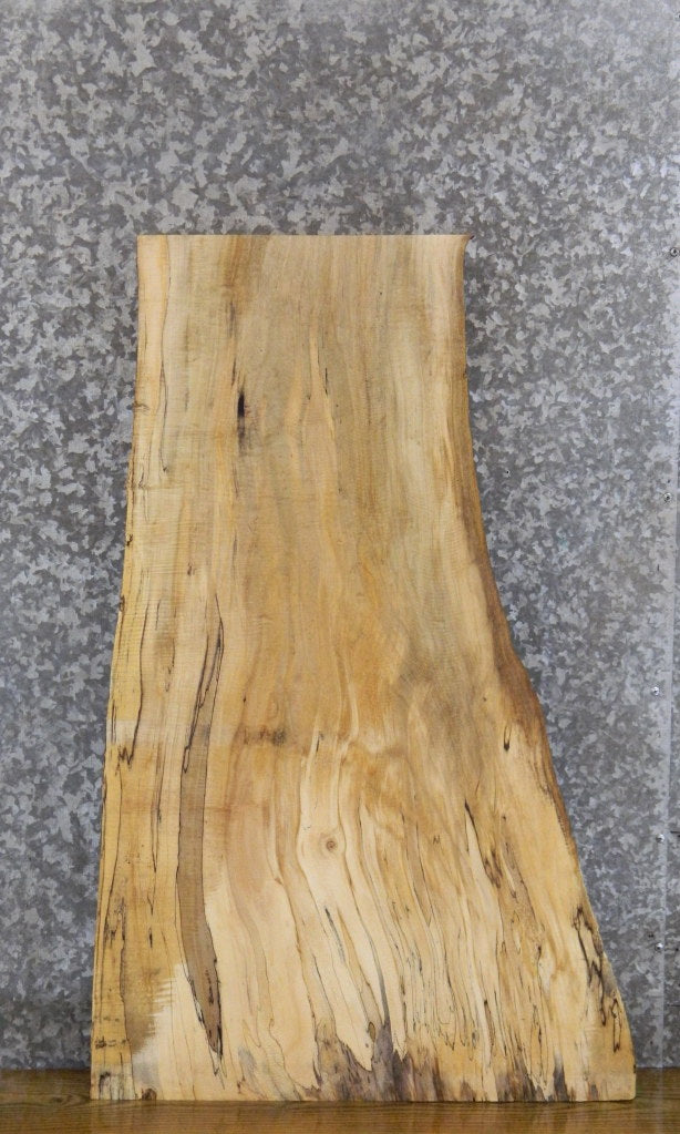 Live Edge Spalted Maple Coffee Table Top Wood Slab CLOSEOUT 731