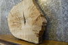 Thumbnail for Natural Edge Oval Cut White Oak End Table Top 7417