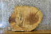 Thumbnail for Natural Edge Oval Cut White Oak End Table Top 7417