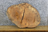 Thumbnail for Live Edge Ash Salvaged Round Cut DIY Charcuterie Board/Slab 7422