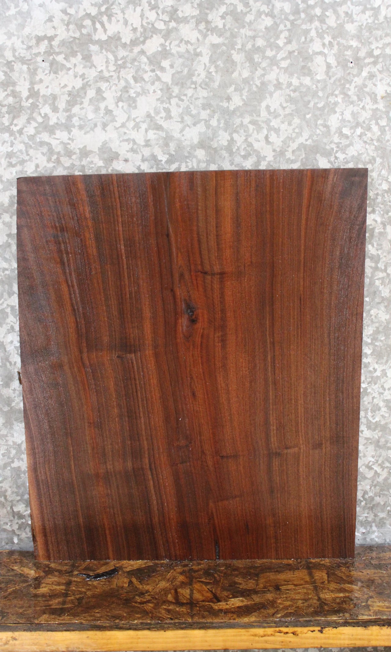 Black Walnut Live Edge End Table Top/Charcuterie Board 7811