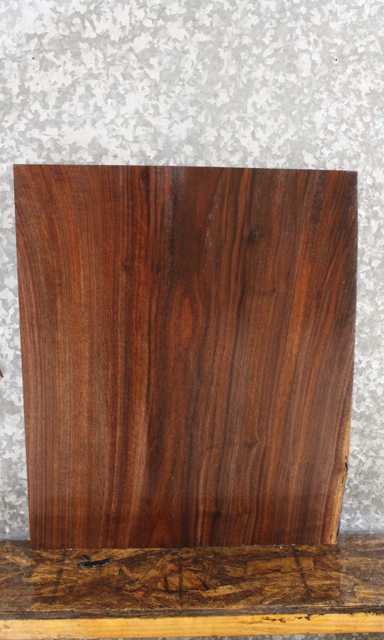 Black Walnut Live Edge End Table Top/Charcuterie Board 7811