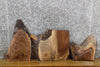 Thumbnail for 3- DIY Live Edge Black Walnut Charcuterie Boards/Taxidermy Bases 7996-7998