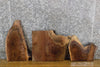 Thumbnail for 3- DIY Live Edge Black Walnut Charcuterie Boards/Taxidermy Bases 7996-7998