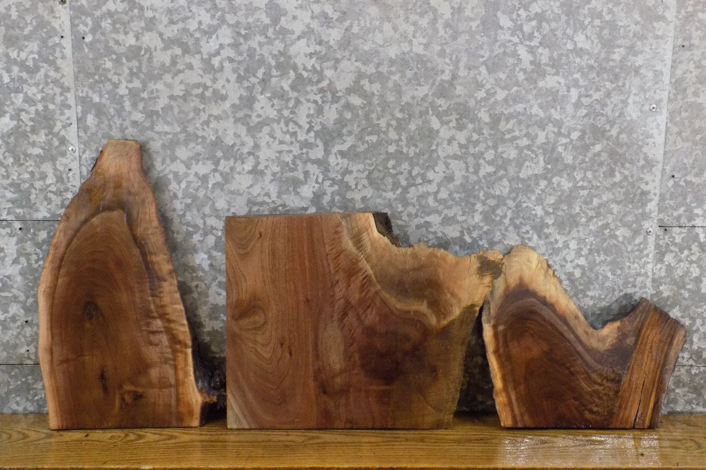 3- DIY Live Edge Black Walnut Charcuterie Boards/Taxidermy Bases 7996-7998