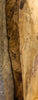 Thumbnail for 2- Natural Edge Spalted Maple Split Board Slab Halves CLOSEOUT 806