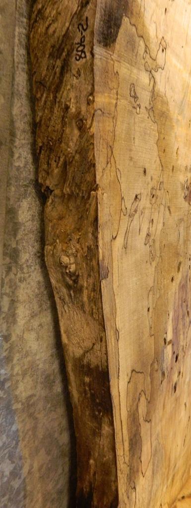 2- Natural Edge Spalted Maple Split Board Slab Halves CLOSEOUT 806