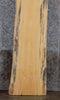 Thumbnail for Natural Edge Rustic Spalted Pine Bar/Sofa Table Top Slab 814