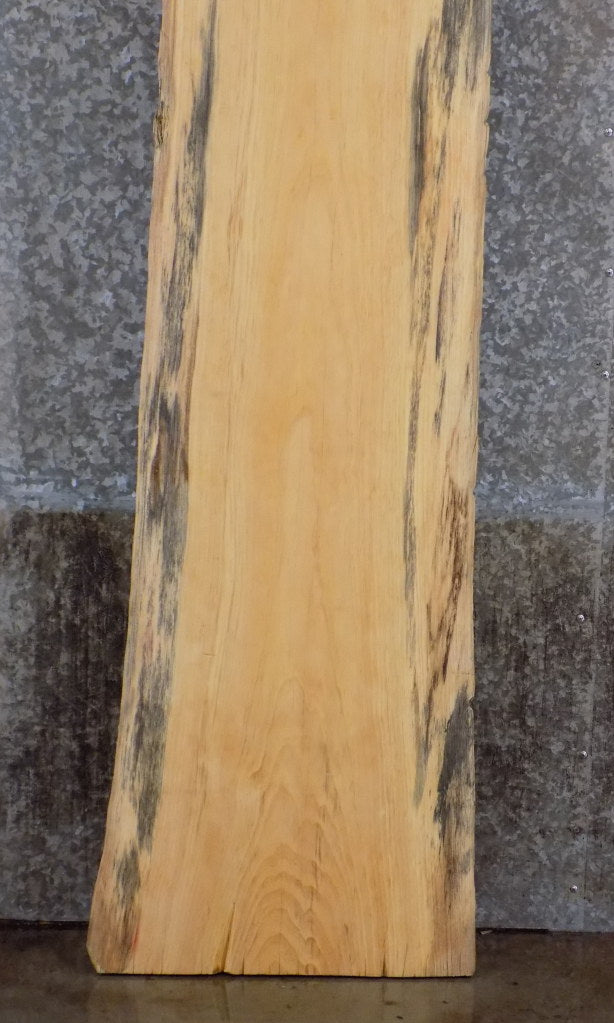 Natural Edge Rustic Spalted Pine Bar/Sofa Table Top Slab 814