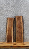 Thumbnail for 2- Live Edge Black Walnut Taxidermy Mounts/End Table Top Slabs 8161-8162