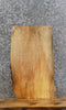 Thumbnail for Live Edge Maple End/Coffee/Accent Table Top Slab 8177