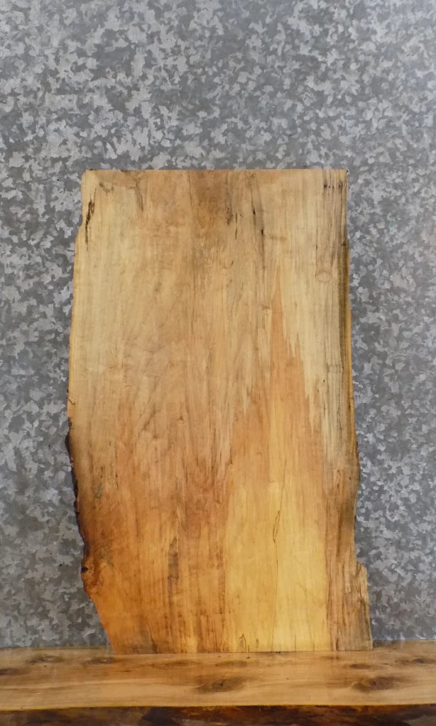 Live Edge Maple End/Coffee/Accent Table Top Slab 8177