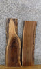 Thumbnail for 2- Live Edge Black Walnut DIY Charcuterie Boards/Craft Pack Slabs 8184-8185